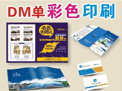 罗平单页印刷，色彩搭配简单。